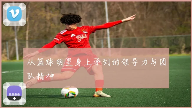 从篮球明星身上学到的领导力与团队精神